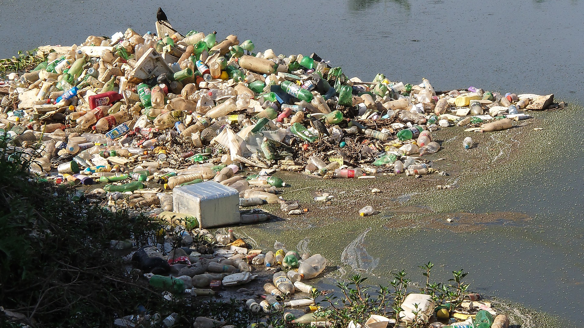 Sungai Kita, Tanggung Jawab Kita